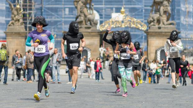 Gorily dnes opět ovládly Hradčanské náměstí.  Foto: Petr Hamerník, Zoo Praha