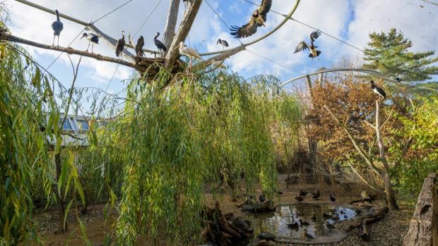 Bird Wetlands, photo: Petr Hamerník, Prague Zoo