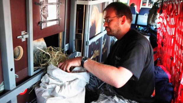 Veterinář Roman Vodička krmí během mezipřistání v Novosibirsku Matyáše. Foto © Miroslav Bobek