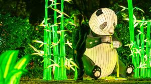 Foto: Garden of Lights