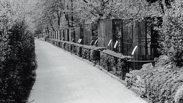 Lineárka, foto: Archiv Zoo Praha