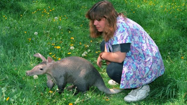 Hrabáč kapský a Renata Masopustová, foto: Vladimír Motyčka, Zoo Praha