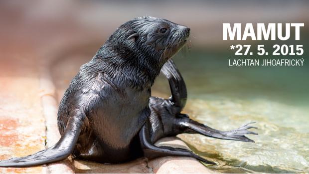 Kampaň je v rámci outdooru využita dohromady na 70 billboardech a citylightech.