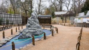 Ústředním motivem expozice je 3D model Ballovy pyramidy, skaliska, na kterém přežily strašilky humří. Foto: Petr Hamerník, Zoo Praha