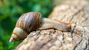 Foto: Petr Hamerník, Zoo Praha
