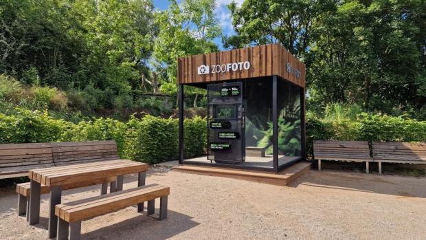 Miroslav Krzyk, PIXBOX