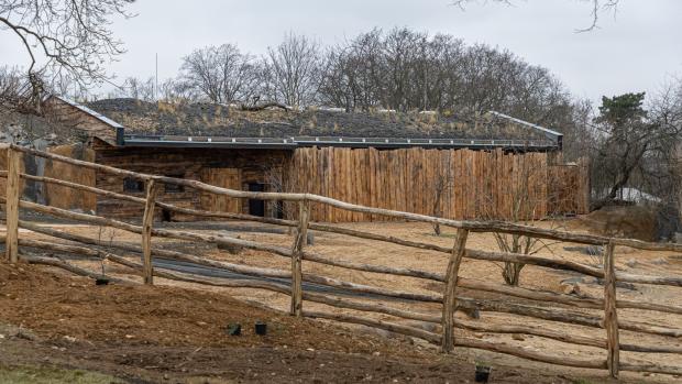 Rekonstrukce ubikace a výběhů koní Převalského, realizace zelené střechy. Foto: Tereza Mrhálková, Zoo Praha