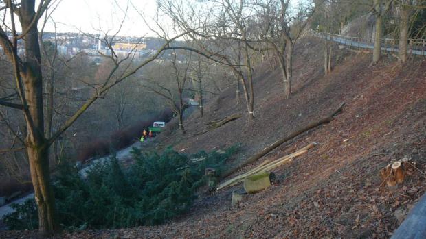 Foto: Pavel Murárik, Zoo Praha