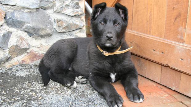 Foto: Archiv Zoo Praha