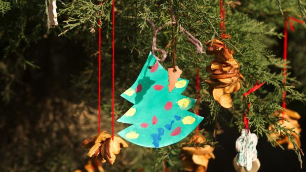 Foto: Tomáš Adamec, Zoo Praha