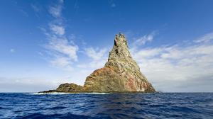 Ball’s Pyramid. Photo: Miroslav Bobek, Prague Zoo