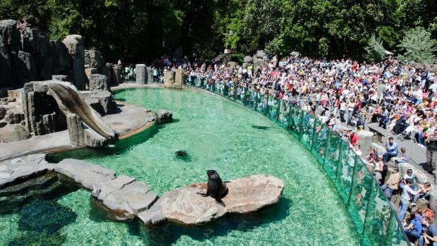 Fur seal exhibit. Photo: Tomáš Adamec, Prague zoo