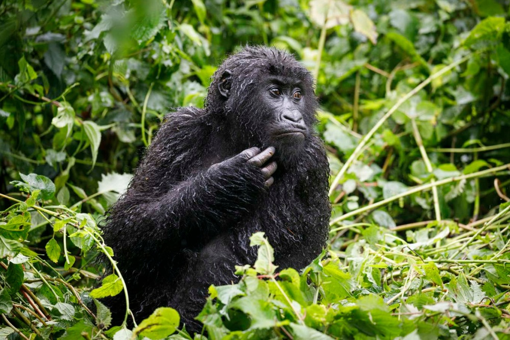 Photo: Miroslav Bobek