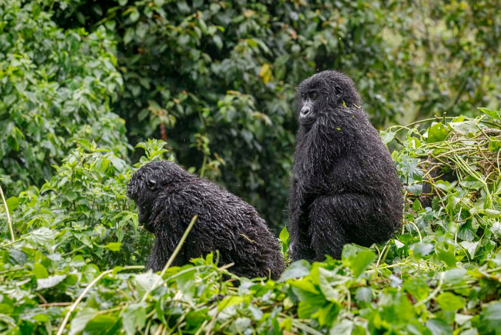 Photo: Miroslav Bobek