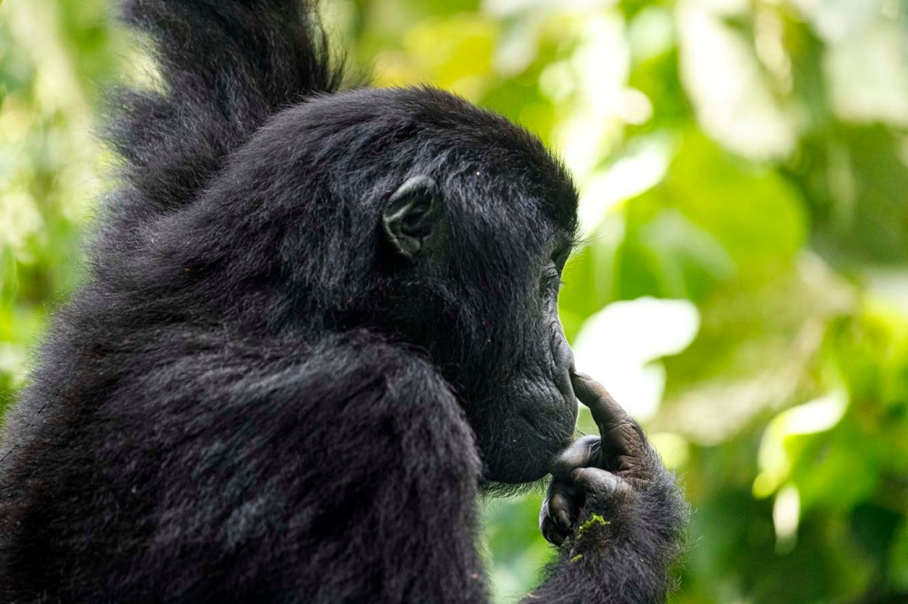 Photo: Miroslav Bobek