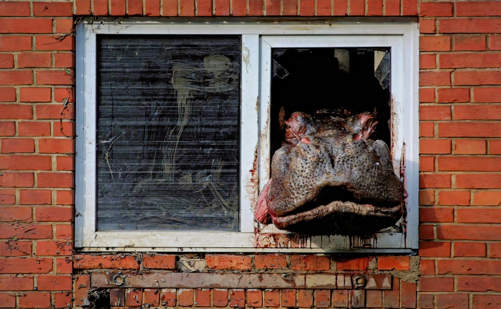 Nečekaným hrdinou se stal hroch Slávek. Zůstal uvězněn v pavilonu a chovatelé ho považovali za ztraceného, když ho objevili na obslužném ochozu, kam ho vynesla stoupající voda. Po jejím opadnutí tu Slávek uvázl, a tak musel být po provizorní rampě přesunut do bývalého výběhu nosorožců, kde čekal na opravu svého bazénu. Photo: archiv Zoo Praha