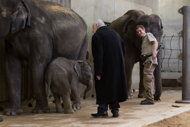 Profesor Josef Koutecký s malým Rudolfem. Foto: Václav Šilha, Zoo Praha