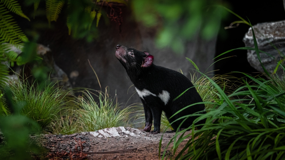 Čuchám, čuchám Darwinův kráter..., autor: Veronika Dunděrová, kategorie: Fotí dospělí – Darwinův kráter, ID: 499