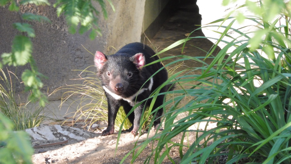 Darwinův kráter, autor: Iva Bartoníčková, kategorie: Foceno mobilem – Darwinův kráter, ID:510