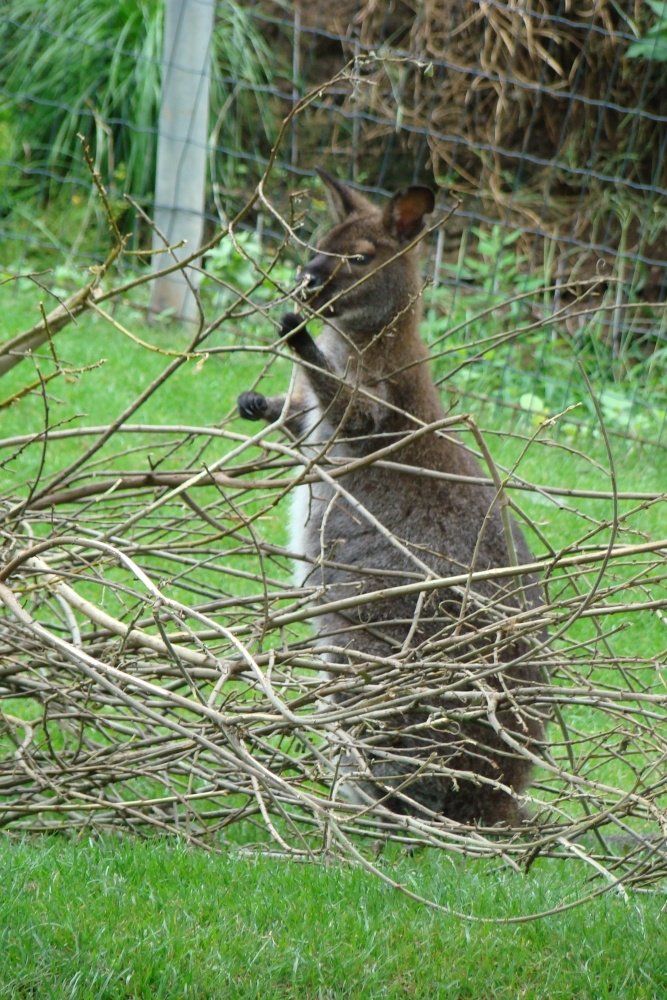 Mám hlad!, autor: Emma Kradijan Seider, kategorie: Fotí děti – Darwinův kráter, ID: 701