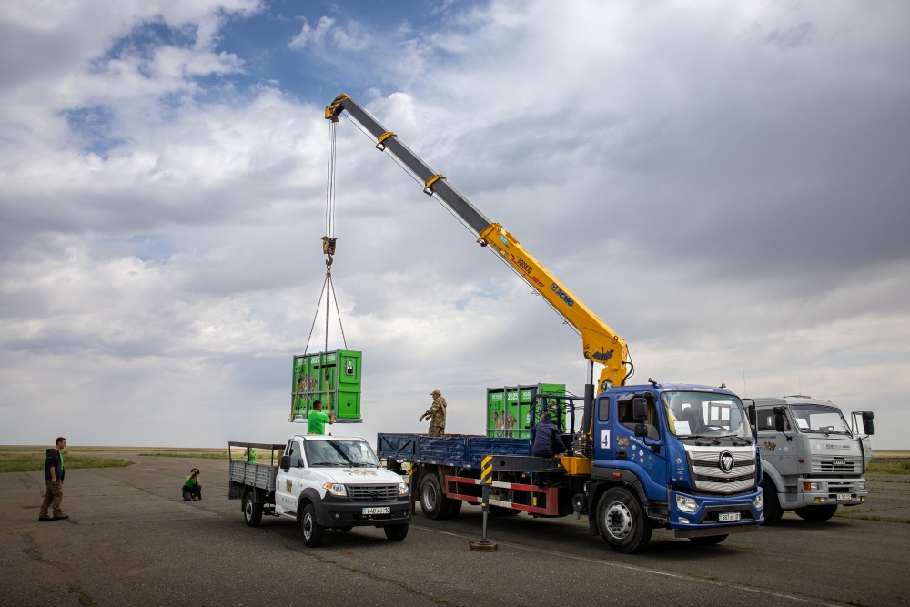 Vykládka v Arkalyku. Foto Miroslav Bobek, Zoo Praha