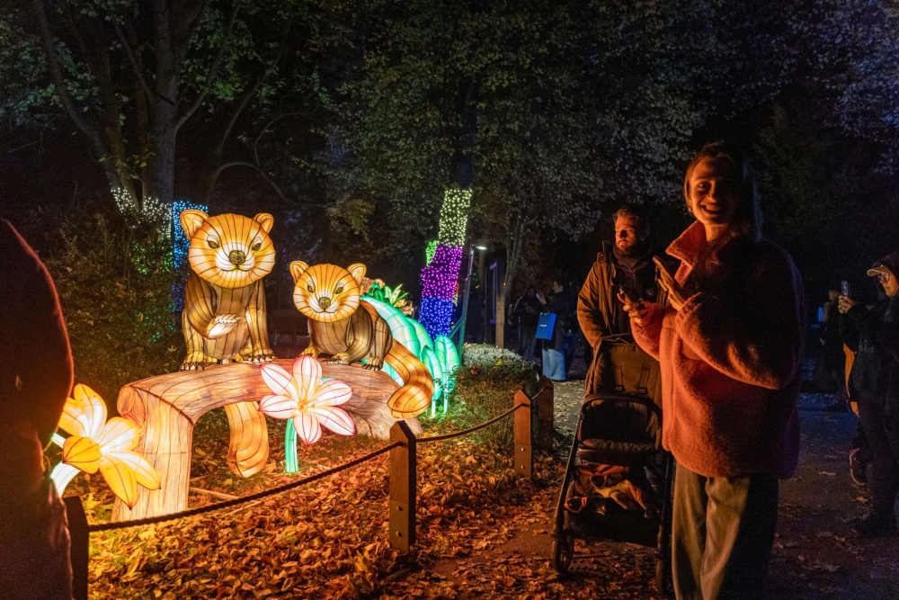 Světelná zoo je určena především pro malé návštěvníky, avšak tisíce světel a podmanivá atmosféra dokážou vykouzlit úsměv na tváři všem. Foto Oliver Le Que, Zoo Praha