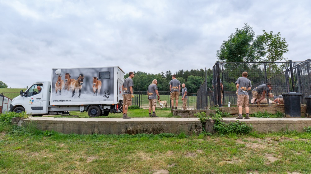 Foto: Miroslav Bobek, Zoo Praha
