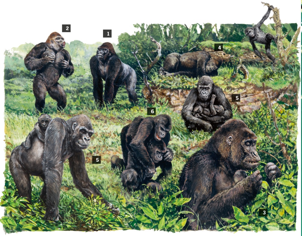 Illustration: Pavel Procházka