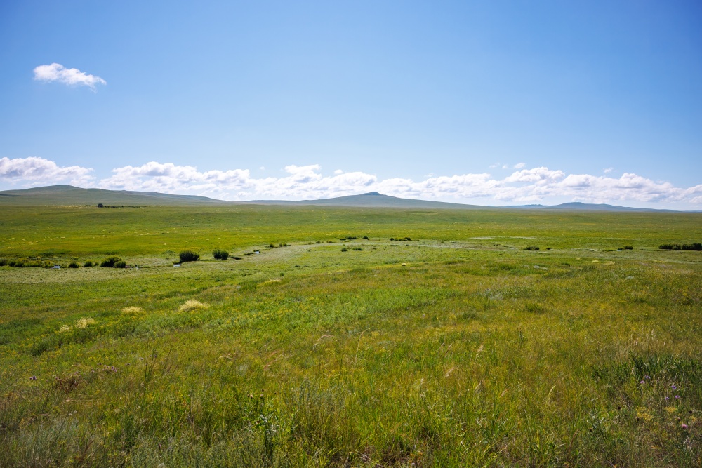 Photo: Miroslav Bobek, Prague Zoo