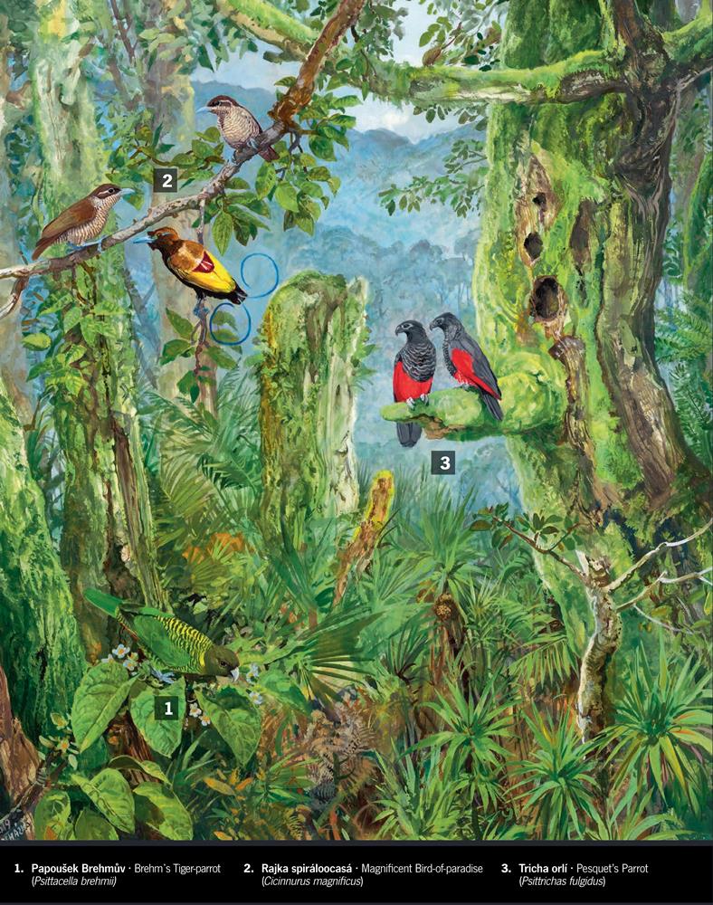 Ilustrace: Pavel Procházka