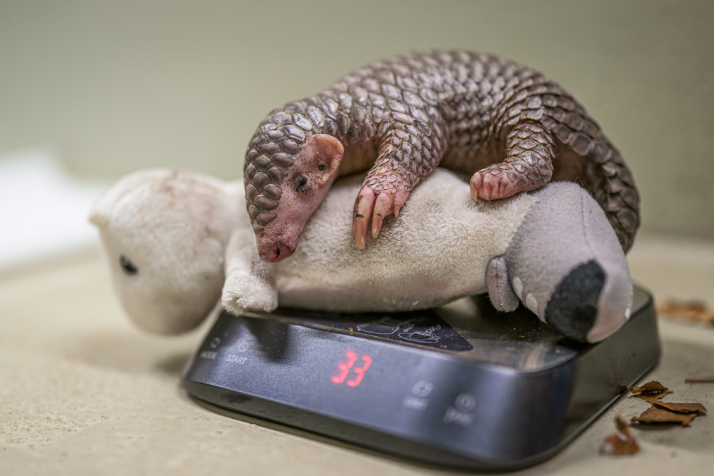 Foto: Petr Hamerník, Zoo Praha