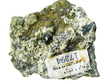 Foto: Dalibor Velebil Foto: Dalibor Velebil