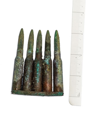 Foto: Miroslav Bobek, Zoo Praha Foto: Miroslav Bobek, Zoo Praha