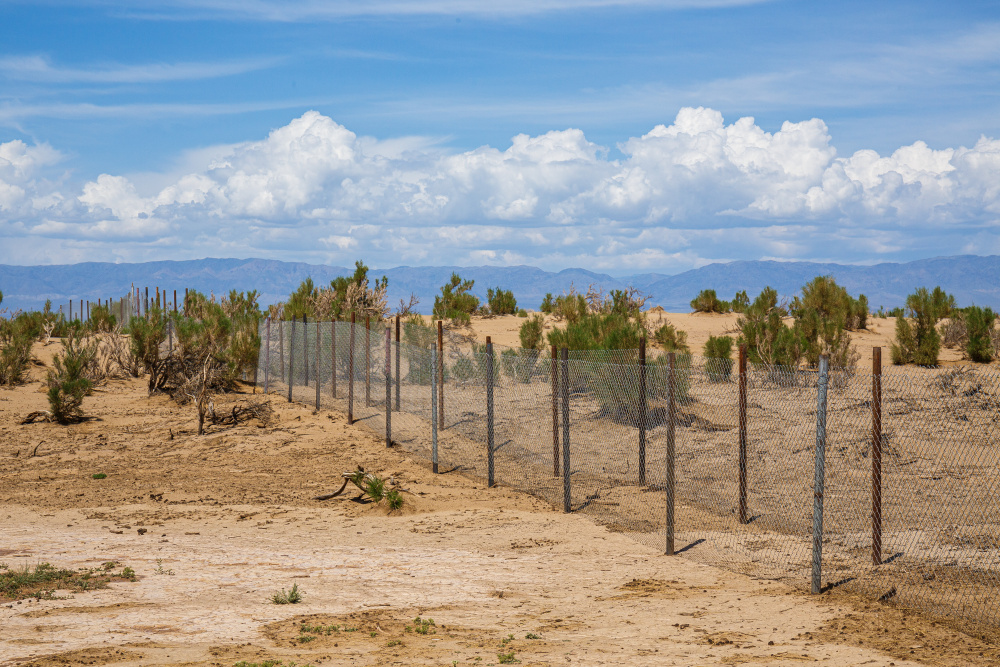 V Gobi A se Zoo Praha zavázala podpořit výstavbu ochranného oplocení v chovné stanici pro velbloudy, poskytla prostředky pro výstavbu dalšího chovného centra a materiálně podporuje i správu zdejší chráněné oblasti. Foto: Miroslav Bobek