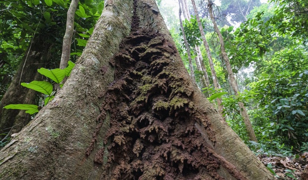 Photo: Khalil Baalbaki