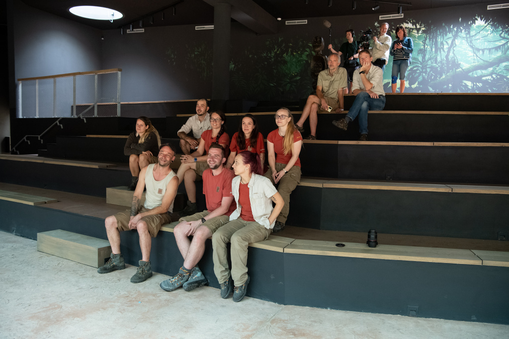 Chovatelé ve čtvrtek 9. června dopoledne sledují goril, které poprvé vyšly do vnitřní expozice nového pavilonu. Foto: Khalil Baalbaki, Zoo Praha