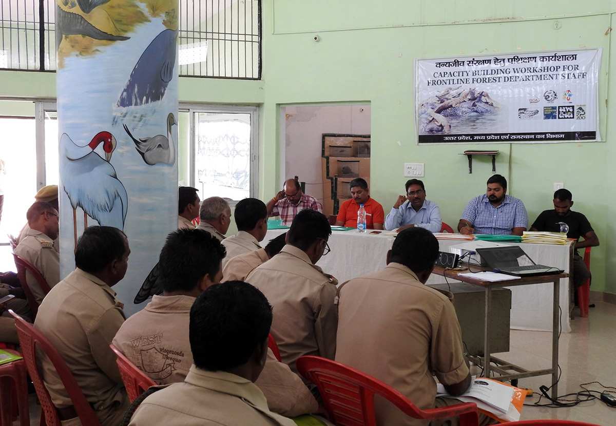 Part of the funds we provide goes towards capacity building for conservation staff. Photo: Gharial Ecology Project