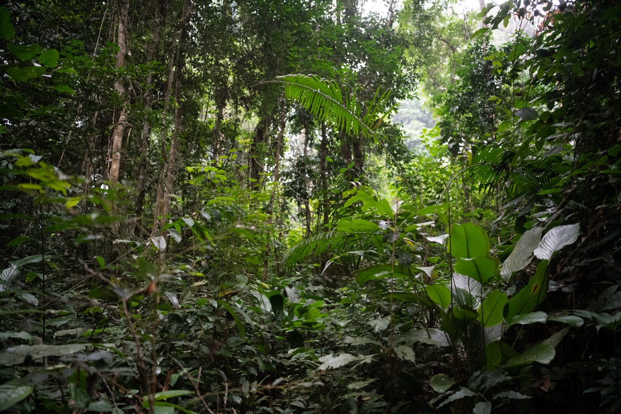 Photo: Khalil Baalbaki 