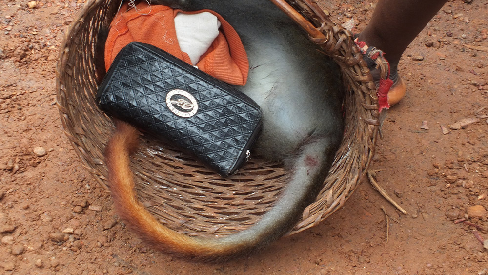 Photo: Daniel Frynta