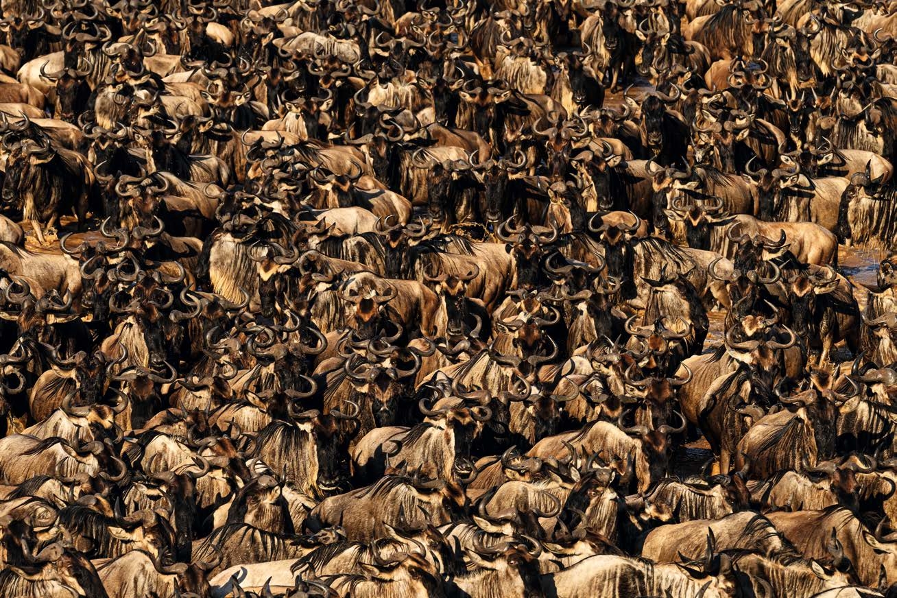 Migrace pakoní, Keňa. Foto: Roman Baláž Babilon