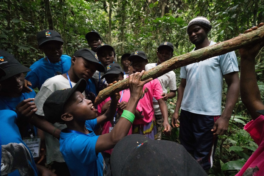 Tropický deštný les s jeho přítmím, bujnou a pestrou vegetací i vysokou vlhkostí nelze popsat; musí se zažít. A někteří účastníci první jízdy nového Toulavého autobusu ho dokonce i ochutnali, když se napili z čerstvě useknuté liány. Všichni se však díky místním průvodcům dozvěděli, které plody či listy jsou jedlé, léčivé nebo jiným způsobem prospěšné. Je to právě zastávka v Kabilonu a tamní program, co nejvíc odlišuje nový Toulavý autobus od původního, který jezdil přímo do Méfou.