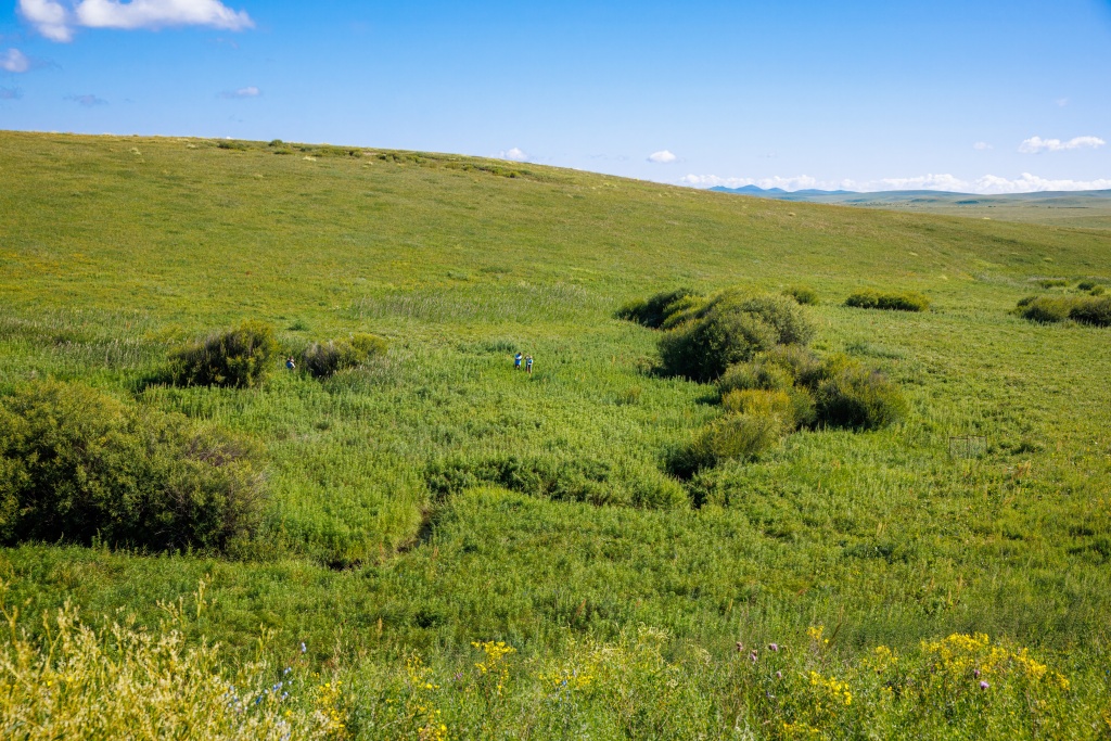 The second of the acclimatization enclosures near a meander of the Southern Monastery Stream. Ganbaatar and Jan Marek choose a suitable place to excavate a pool. Photo: Miroslav Bobek