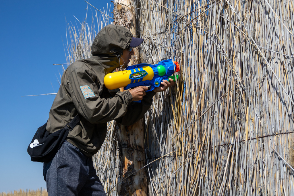 Veterinář Daniar Kalijev aplikuje zpoza plotu germicidní roztok s insekticidem na rány Zety II. Dětská stříkací puška se díky svému dosahu ukázala jako vhodnější řešení než profesionální veterinární vybavení. Foto: Kristýna Čechlovská, Zoo Praha