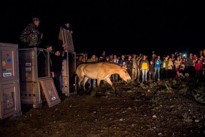 Foto (c) Petr Jan Juračka