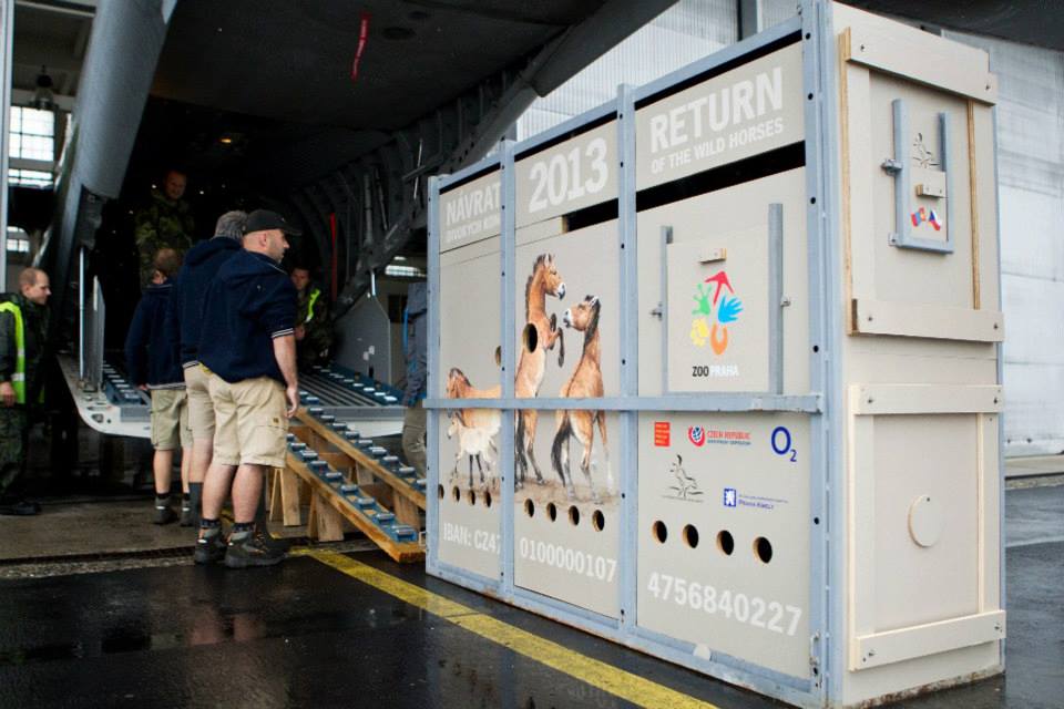 Foto (c) Tomáš Adamec, Zoo Praha