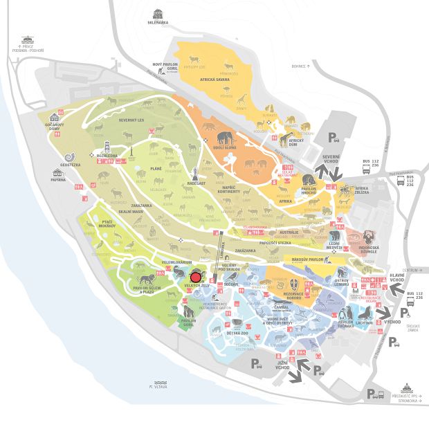 Pavilon velkých želv naleznete ve spodní části zoo. Zdroj: Zoo Praha