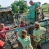 Nakládání koní vyžaduje dokonalou souhru celého týmu - zkušených chovatelů ze Zoo Praha. Foto Zoo Praha