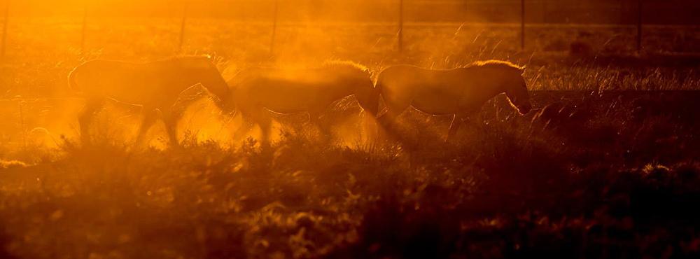 Základní informace