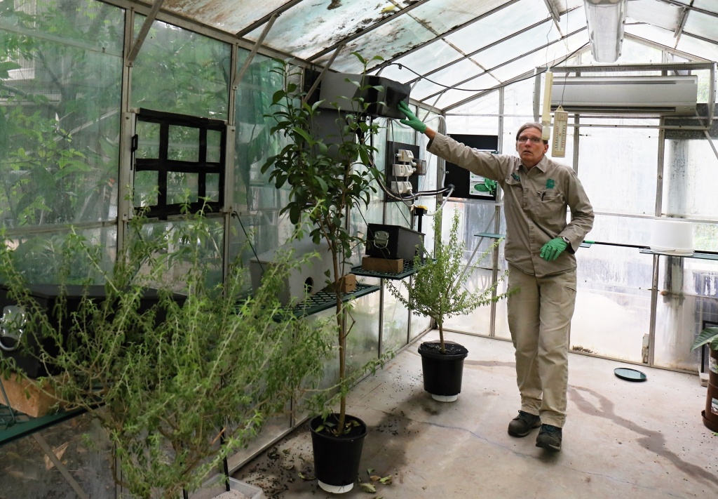 Jedno z chovných zařízení pro strašilky humří v Melbourne Zoo. Foto: Miroslav Bobek