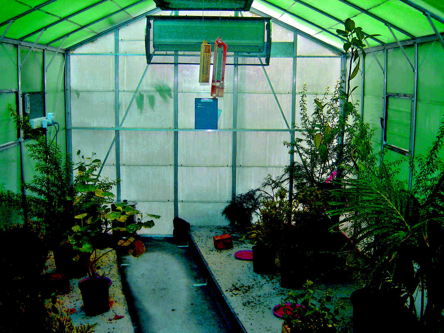 Původní skleníky pro chov strašilek humřích v zoo Melbourne. Staromódní elektrické zařízení částečně skryté pod listy zajišťuje dostatečnou vlhkost. Foto: Patrick Honan. Zdroj: Return of the Phasmid, R. Wilkinson